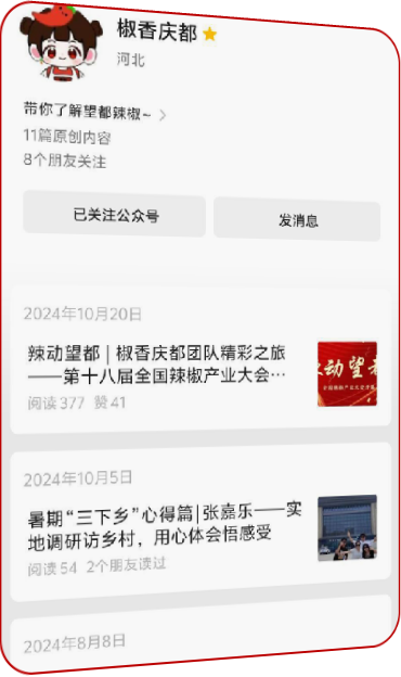 IP 打造示例