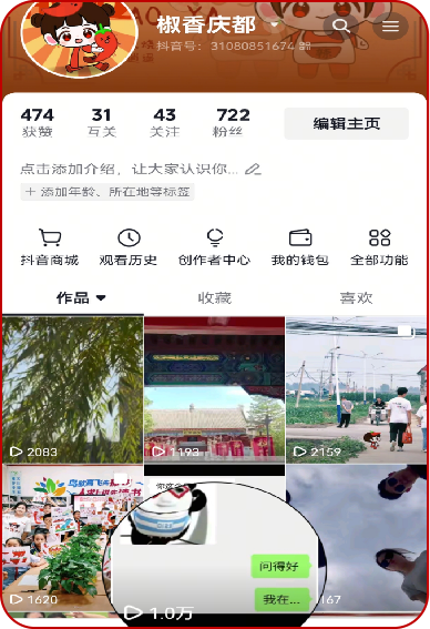 IP 打造示例