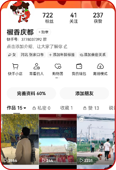 IP 打造示例