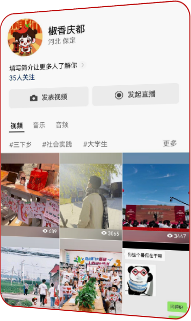 IP 打造示例